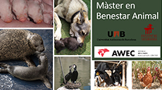 Master en benestar animal 2021 2022